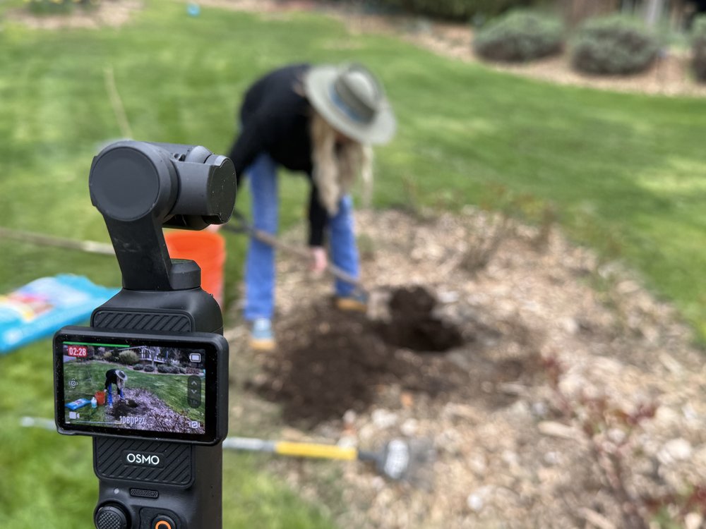 Carol digging the planting hole, filmed by a DJI Osmo camera