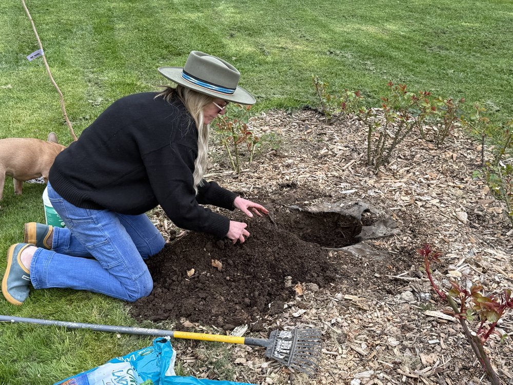 Carol kneeling at the planting hole, working compost and mycelium into the native soil with her hands