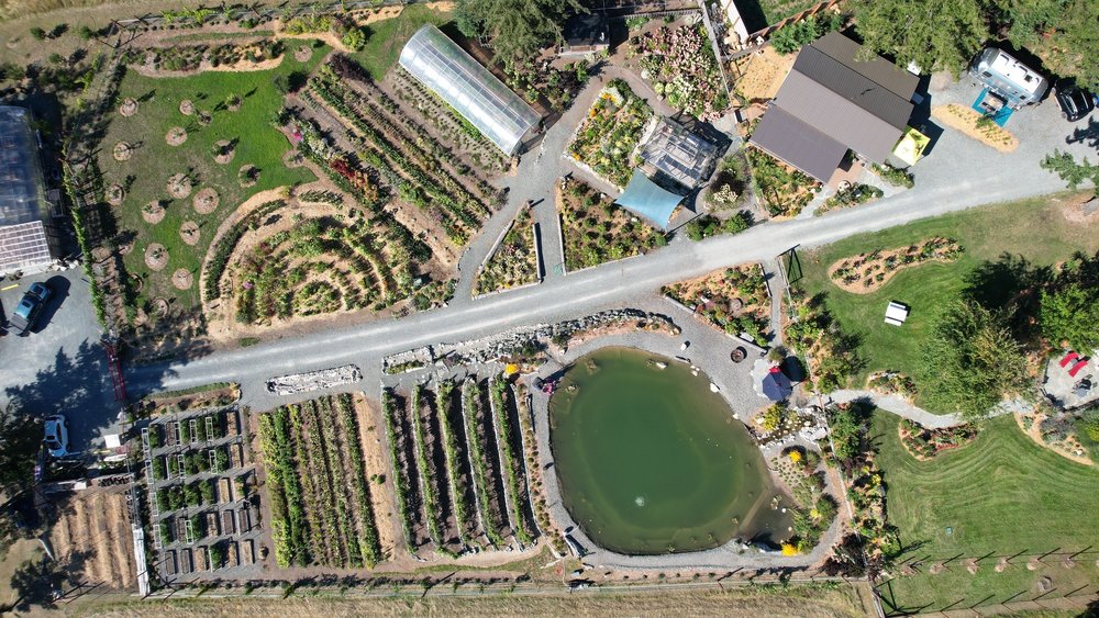 Aerial view of The Little Farm on Olga Road on Orcas Island, showing the greenhouse, flower rows, orchard, and pond from above