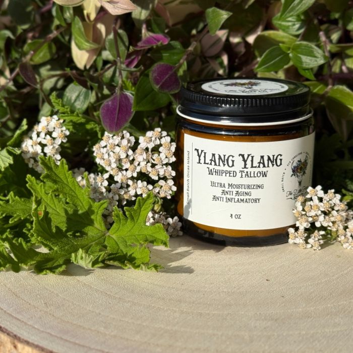 Whipped Tallow Ylang Ylang