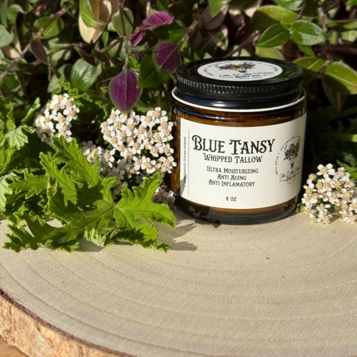 Tallow Whip Blue Tansy