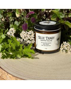 Tallow Whip Blue Tansy